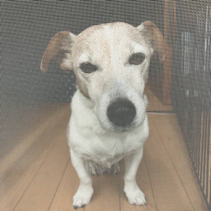 627ddf5c 3aa3 4d2a bb96 3dcc1b81f23c 1760226404266