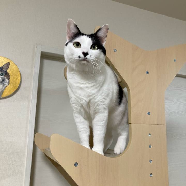 627e09b7 6fc6 4bd3 8610 c49a5bdcc90e 1764360381880