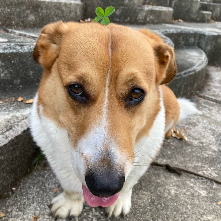 627e2ec0 2af4 4d0b 9f01 a077a88d0068 1716427598146