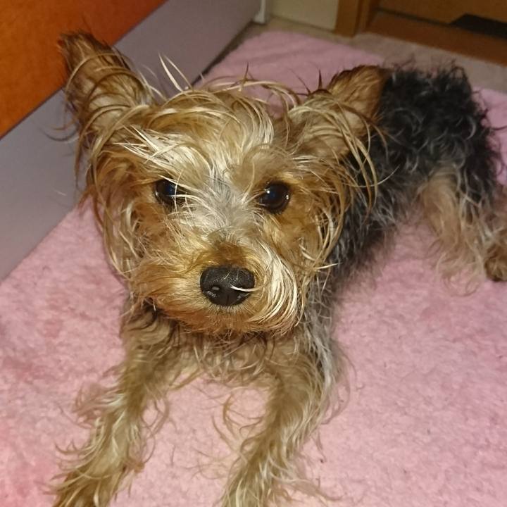 627e37a4 ff09 4bd0 907c 7c94d16e2359 1531052537166