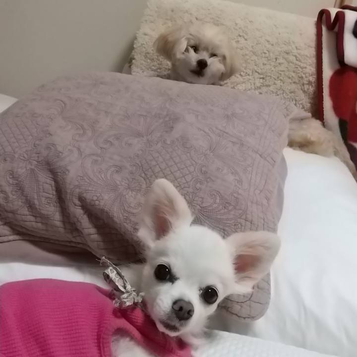 627e3ca1 f1d3 48da 9451 d82d72d6beee 1574249778973