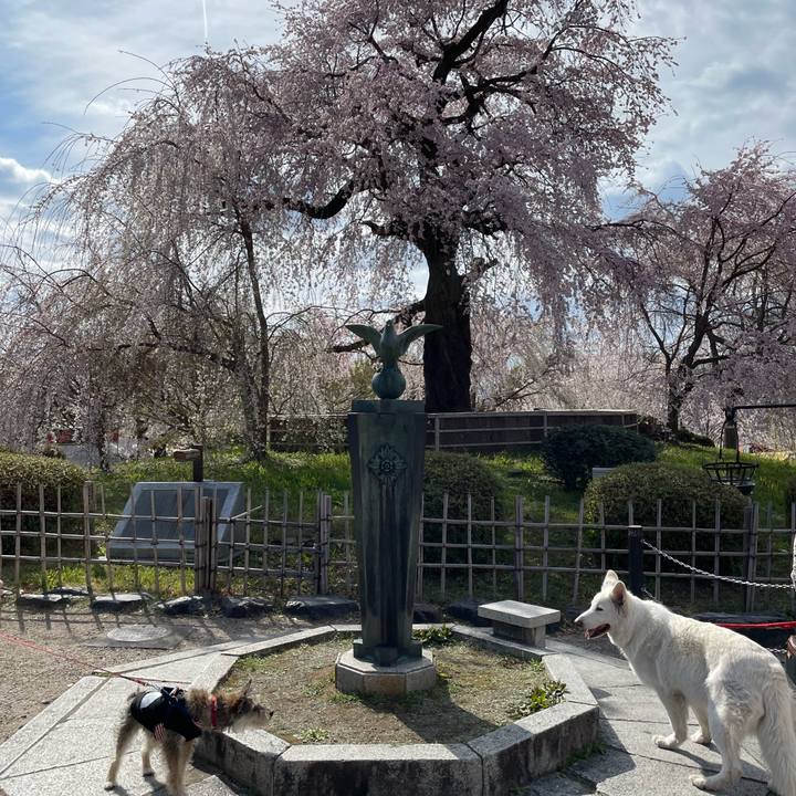 627e71e2 b2f7 4480 a07b 5fca7a7c575f 1648810522804