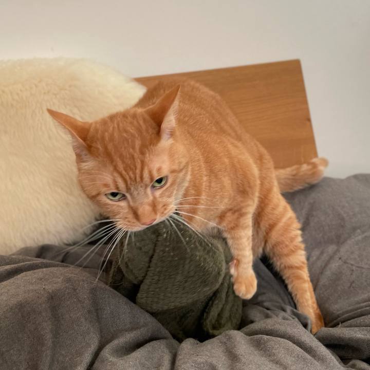 627e870d 4903 4b5d 9da7 9f11766c7a0f 1667389150460