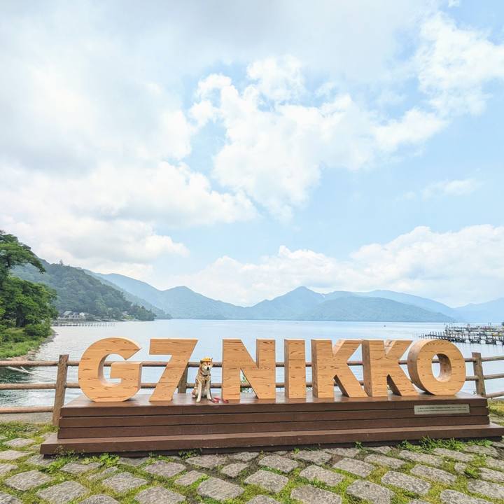 627e9b45 4fa5 4ecc a45e f114dddd8eed 1752063130400