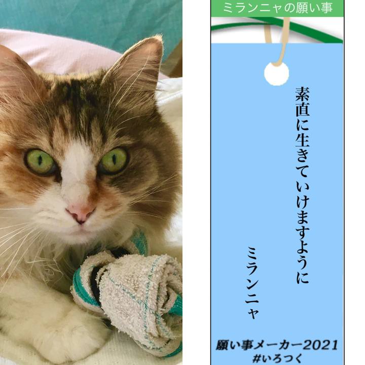 627ec282 71f8 43e7 8f58 1ade35218d3d 1625650442023