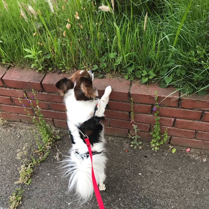 627ecf73 3d3d 4b72 b82a bb60d7cf49aa 1557913209967