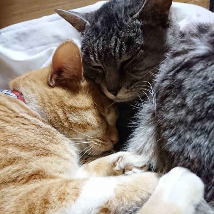 627f5951 4e2d 40cb 95e4 de8bfcc20123 1574516424917