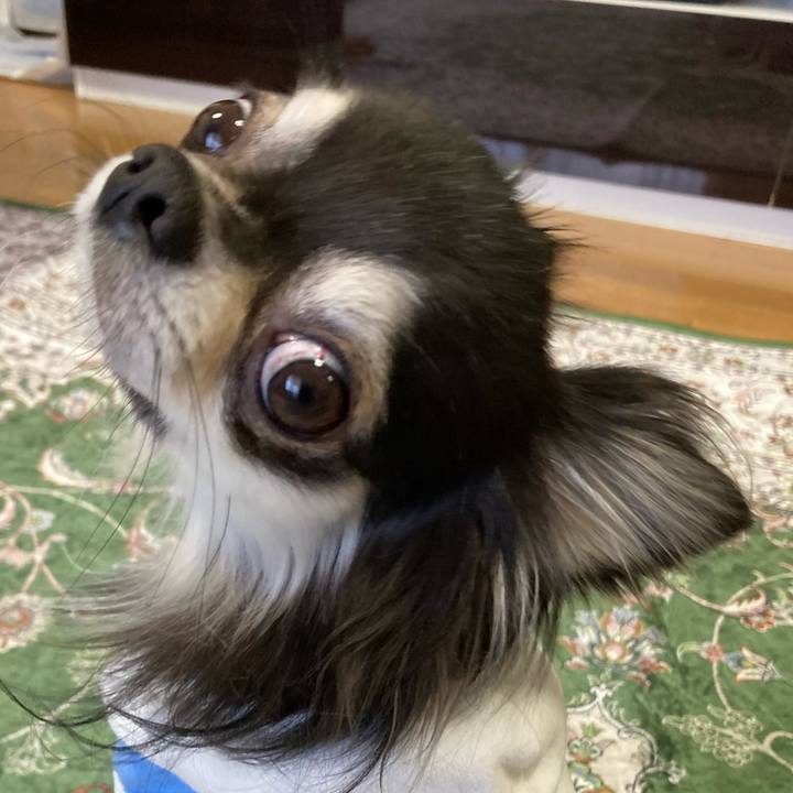 627f5bc0 db5f 403f 8cfb cc1cd7aa2a14 1667110093604