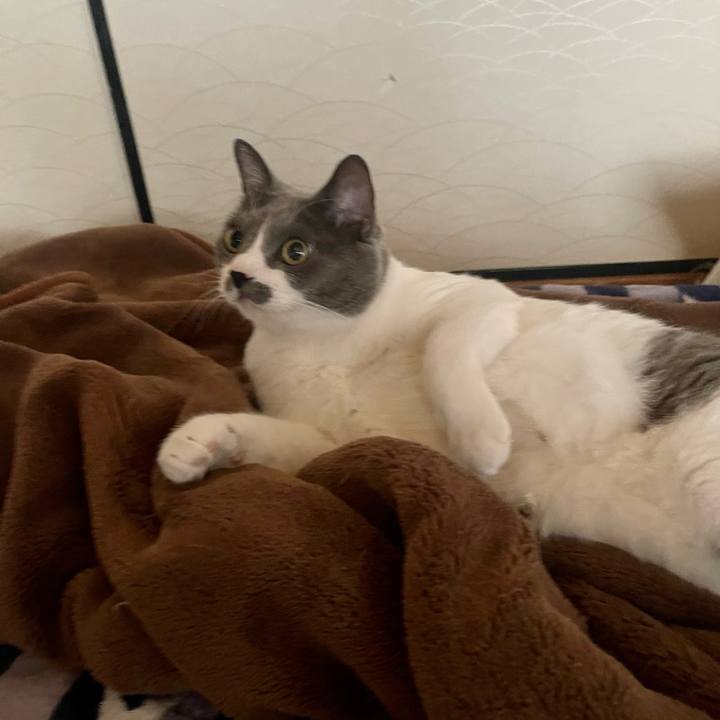 627f5e29 88c3 4025 8d07 dec22e2719cf 1699225311231