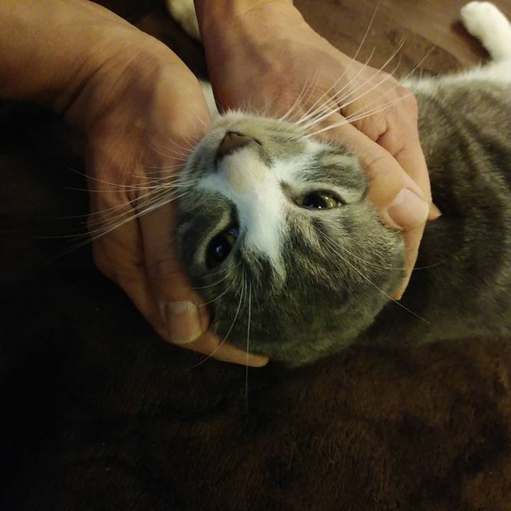 627f6e1c 4d55 4728 abb4 581d5422963d 1579786955432