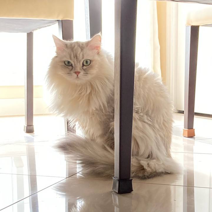 627ff48c 78a3 495a 8e5a 68aa8806ec10 1676785524553