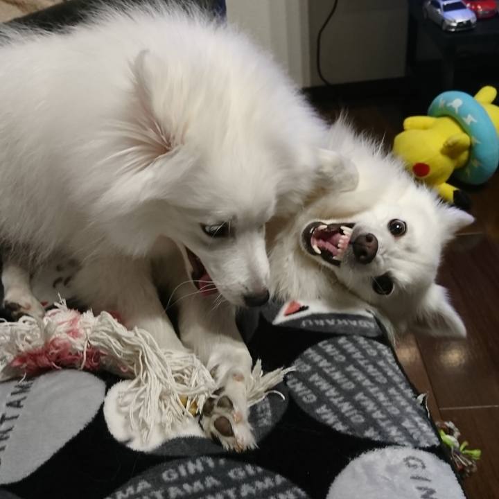 6280469c 9390 47bc 96bc 1d0df236e512 1552824831581