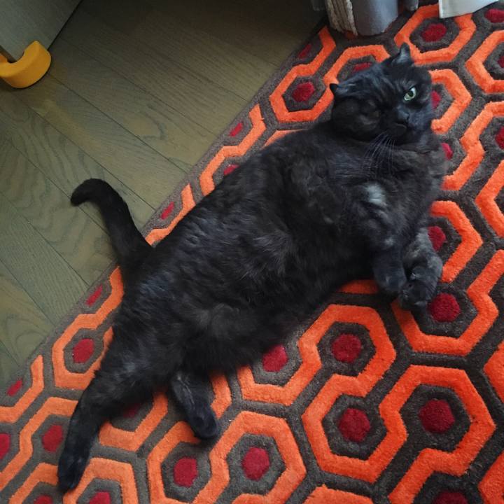 62805694 604c 4200 9cd1 9a1db14b72ba 1554074971492