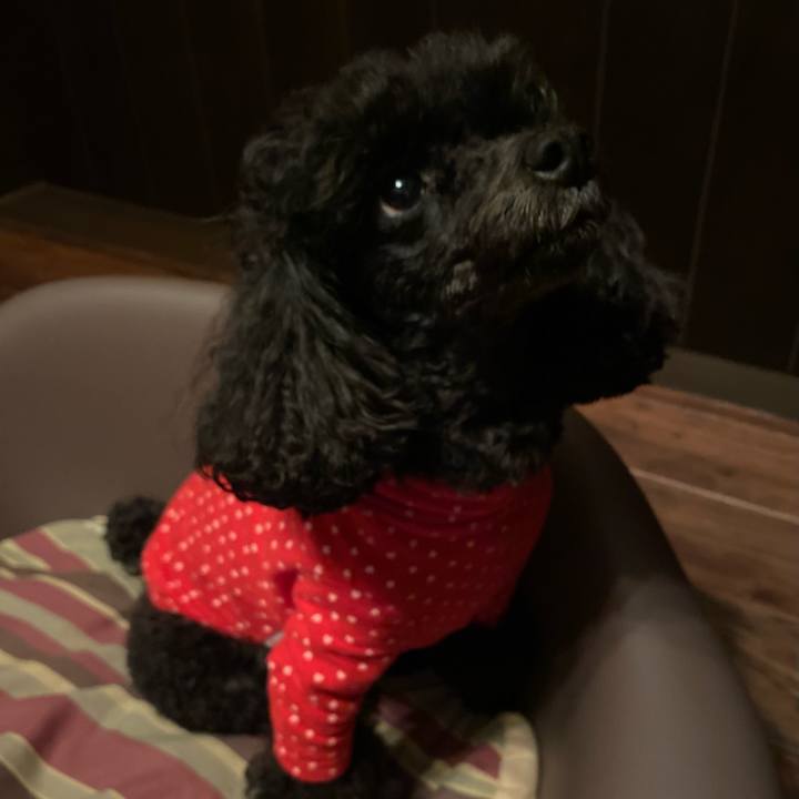 6280e83b 4a4c 45b2 996c 4843937f5e76 1632618163739