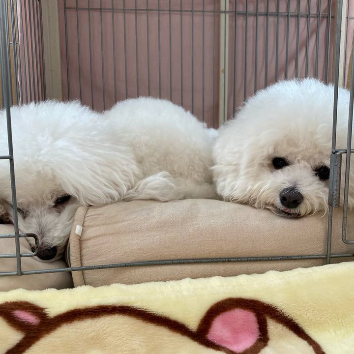 628101eb 5a82 4ccd a840 fd04aaf7673a 1614476349475