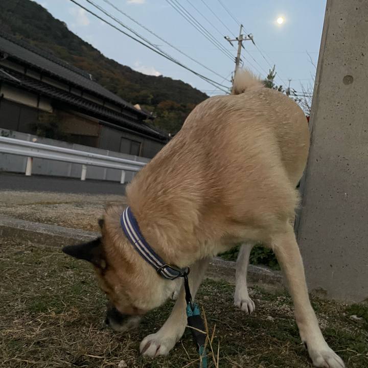 62811ba0 ba72 403a 881e 25b2e2d307f0 1701261462700