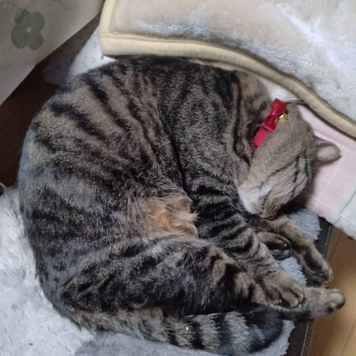 62813978 7bcd 4394 bc0e c71862da38c4 1670025169319