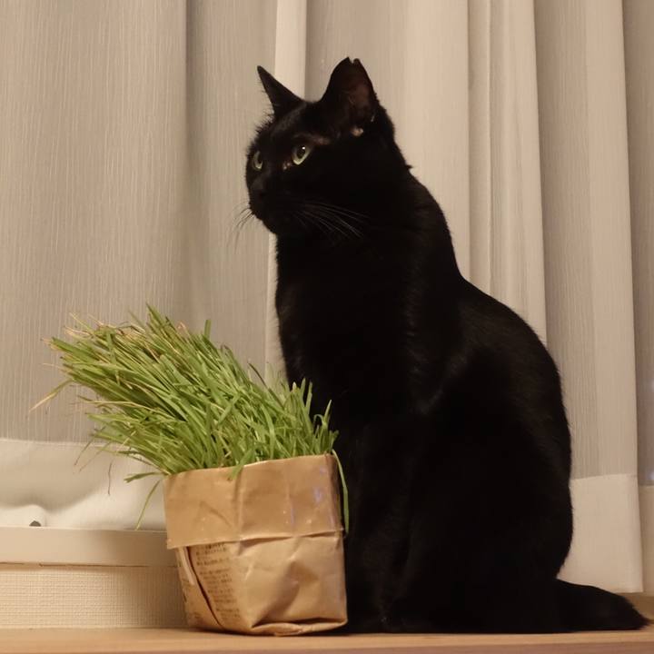 62816a98 d76b 4315 9b08 8546f5cd732b 1536594609425