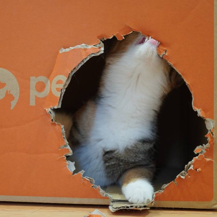 6281c66e e945 4c2f acd6 8280ec852eee 1588692164124