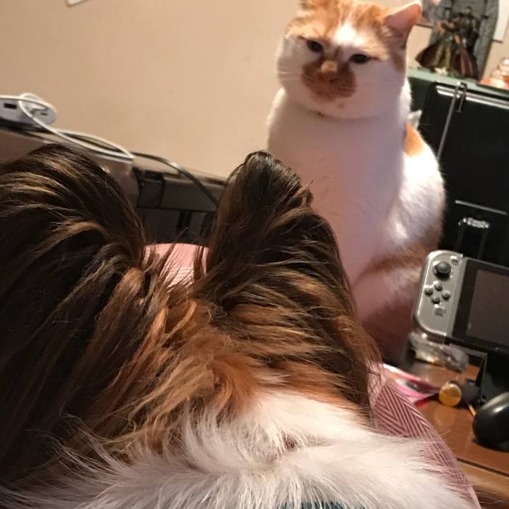 62820443 bf0d 423d 8e4f 704126df3e9b 1515505975400