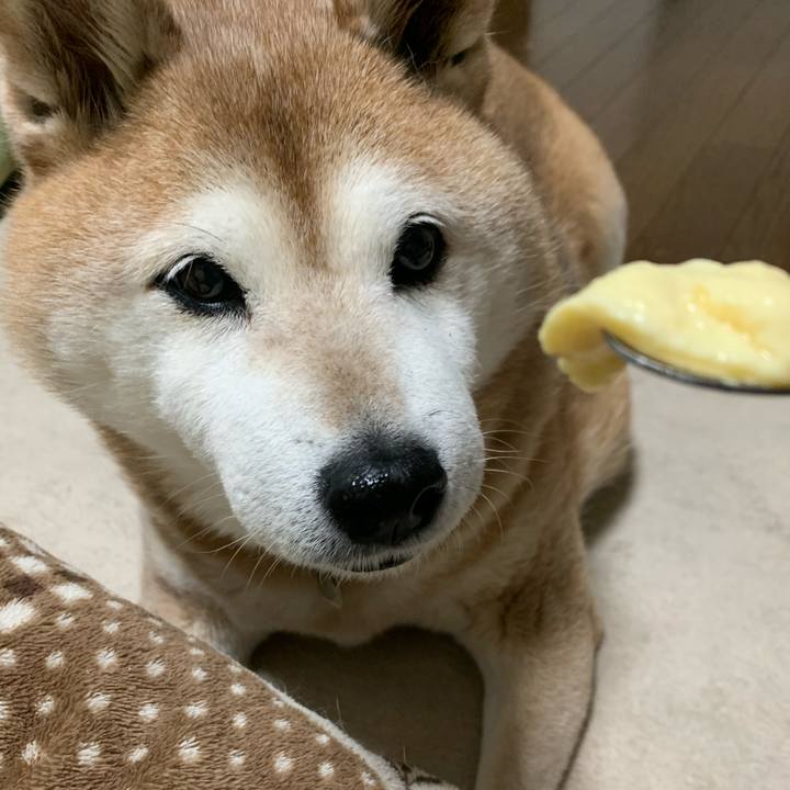 62820896 9830 45b1 a30b c6e802b1e0df 1586528604109