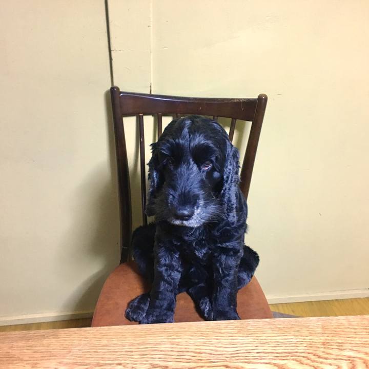 62820fce 64ae 4bf7 ae7e 785965e0bd01 1520220711194