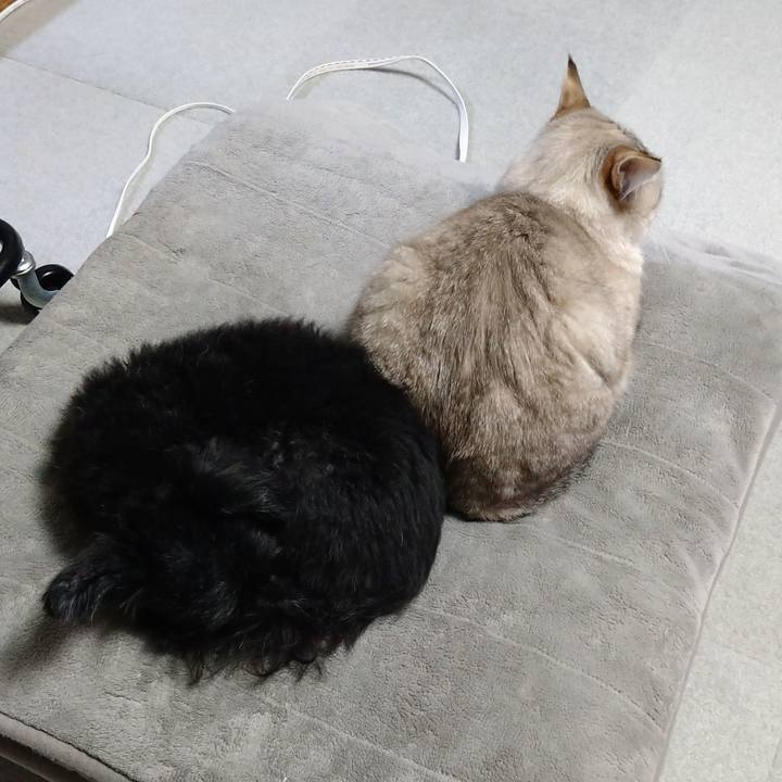 6282571b c9e0 4d53 a01a 044abb3dd93a 1668773457181