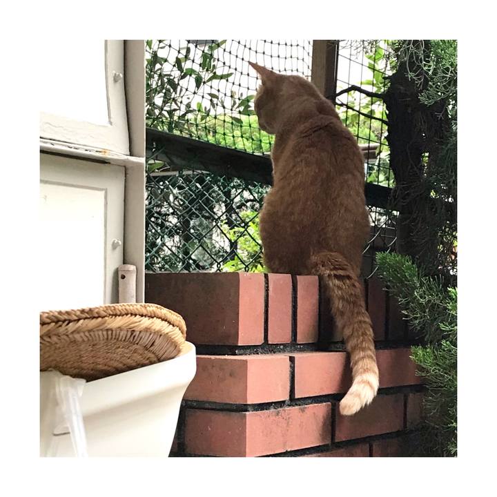 62826352 b8e3 419e 898f c9d2a7551946 1623830171677