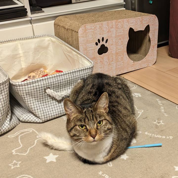 6282729a 6b24 48b1 bee4 81fada2776c3 1701347951851