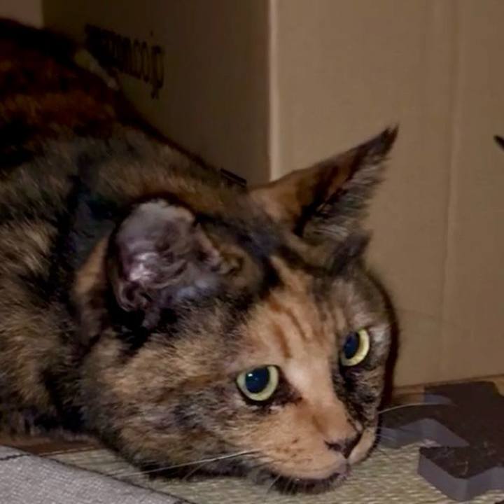 6282897a 8fb6 4f1f a585 72aba849735b 1756678706858