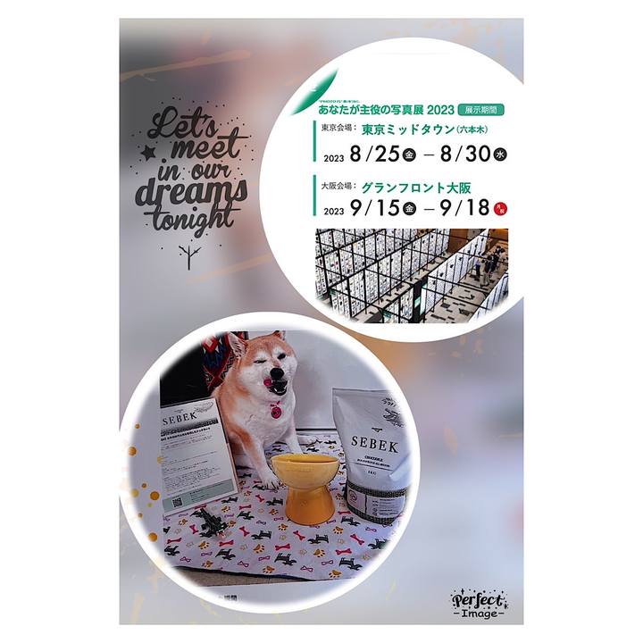 6282c3ef 5daa 4fe2 ac0a 00276ce67efb 1692783281202