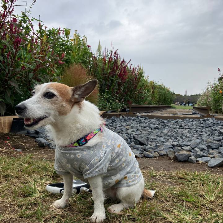 62830019 2b91 4537 929d 487f5dc0a99d 1696288969953