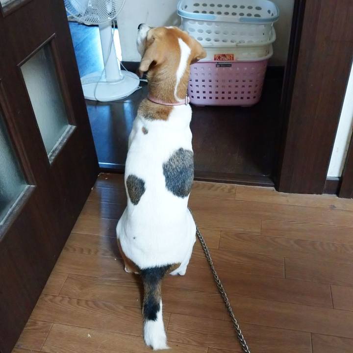 6283008f ced4 4b9e bcb4 b94e307af030 1599875471198