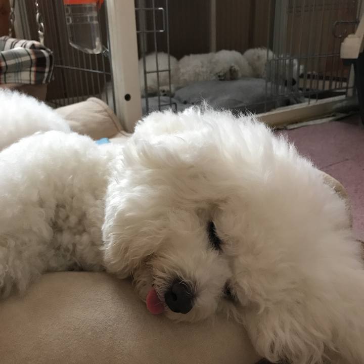 62831ffe 1df4 4249 a015 e912619b0d80 1527493696697