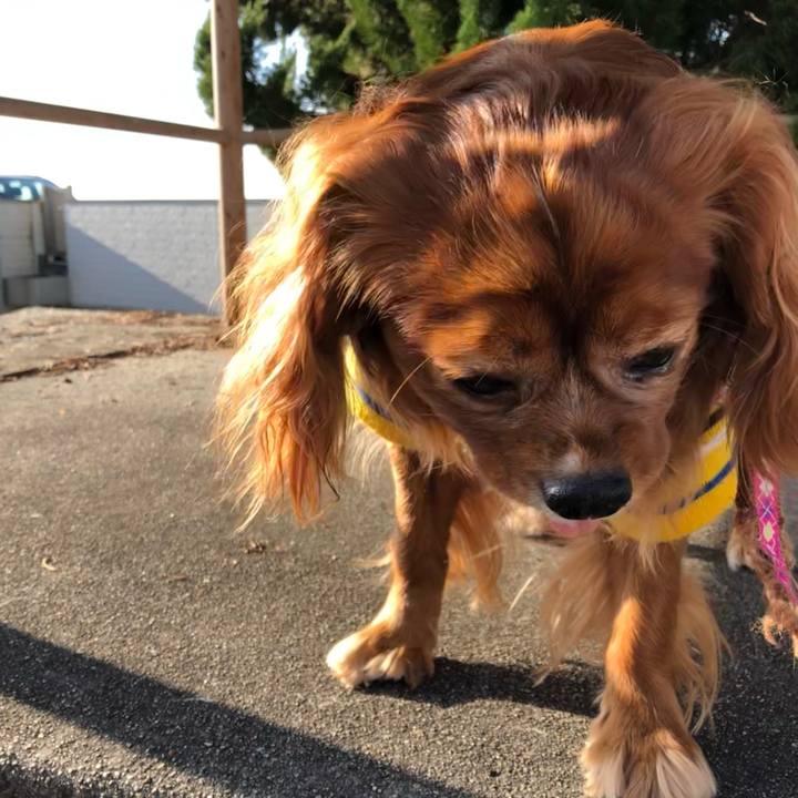 62837330 5d38 41db 9ba9 810ccff3f3c0 1641688963515