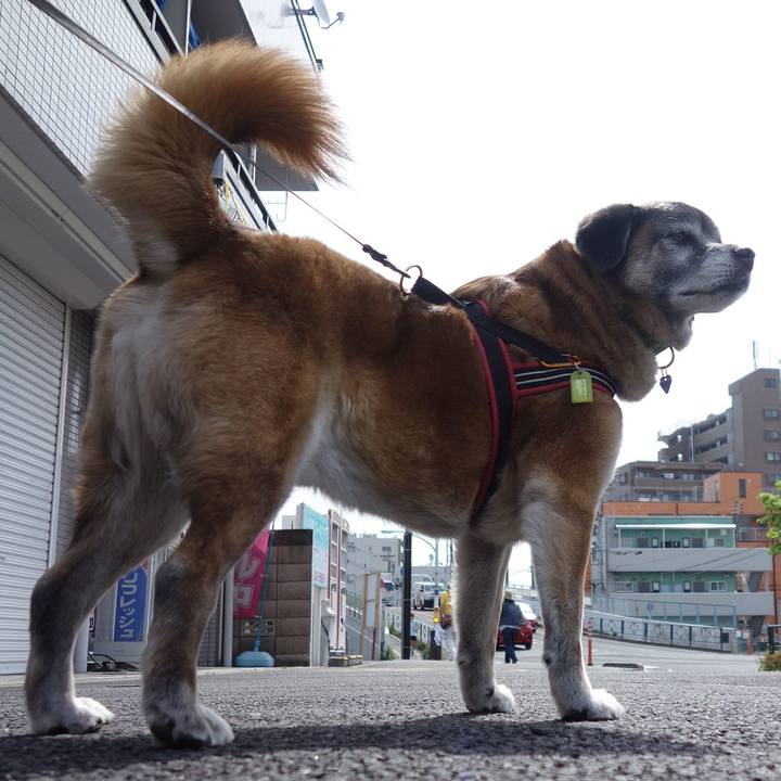 62837788 58b7 4cce 8415 8b6aa6ac105a 1667783078983