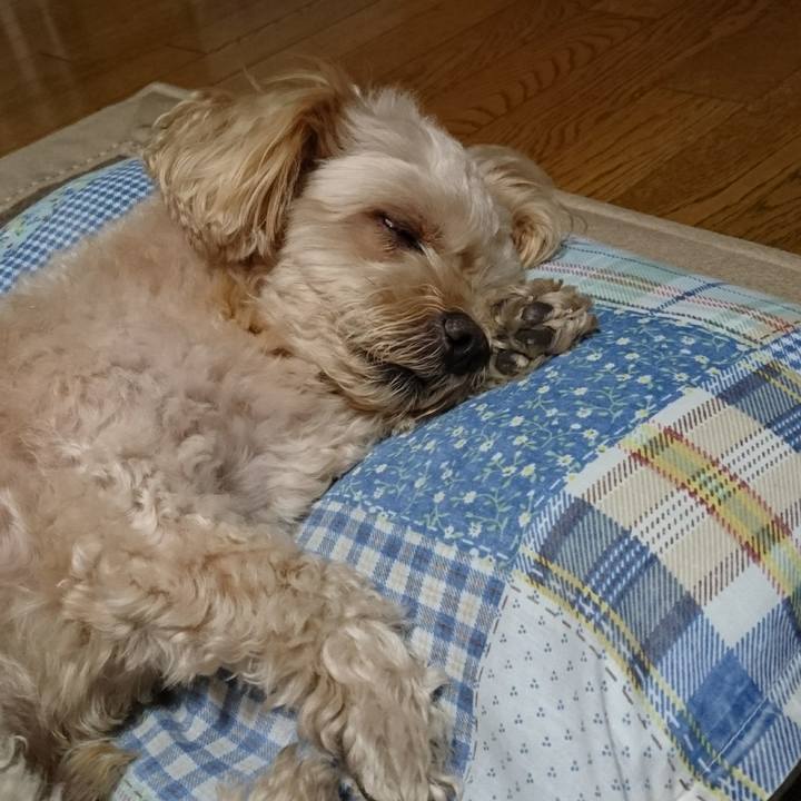 62839034 d41c 4f81 b649 952bd44624e7 1600698655555