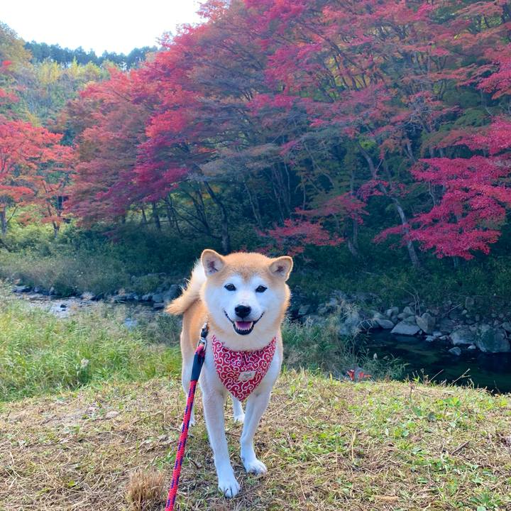 62839083 7c4e 45b0 8964 b3ecefdabf5d 1667903681624