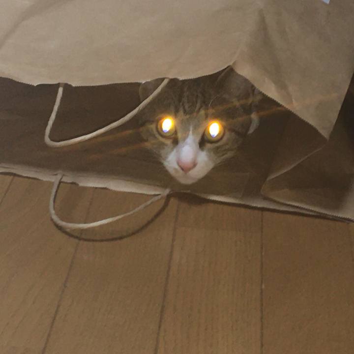 6283d7f0 71f2 40a6 8537 318cf20e0fbe 1692713343723