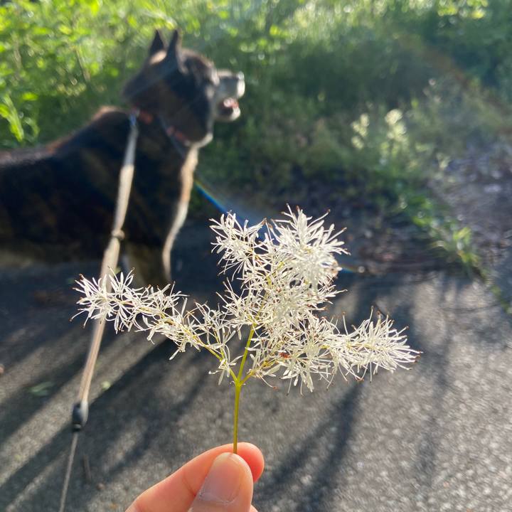 6283f132 e12b 4b7e b788 2d0770b7708c 1651981167742