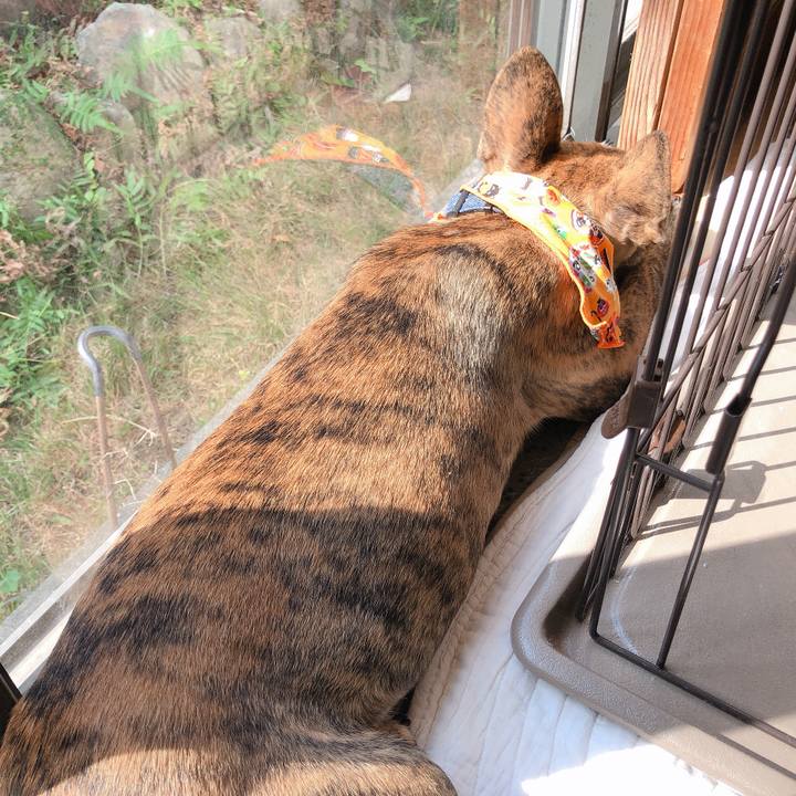 6283f2ba 207c 41e2 a8eb 2926bb4f81d1 1572059685927