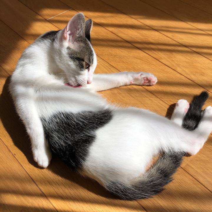 6283f3ef d960 428c b069 258f5c0683c4 1569475816722