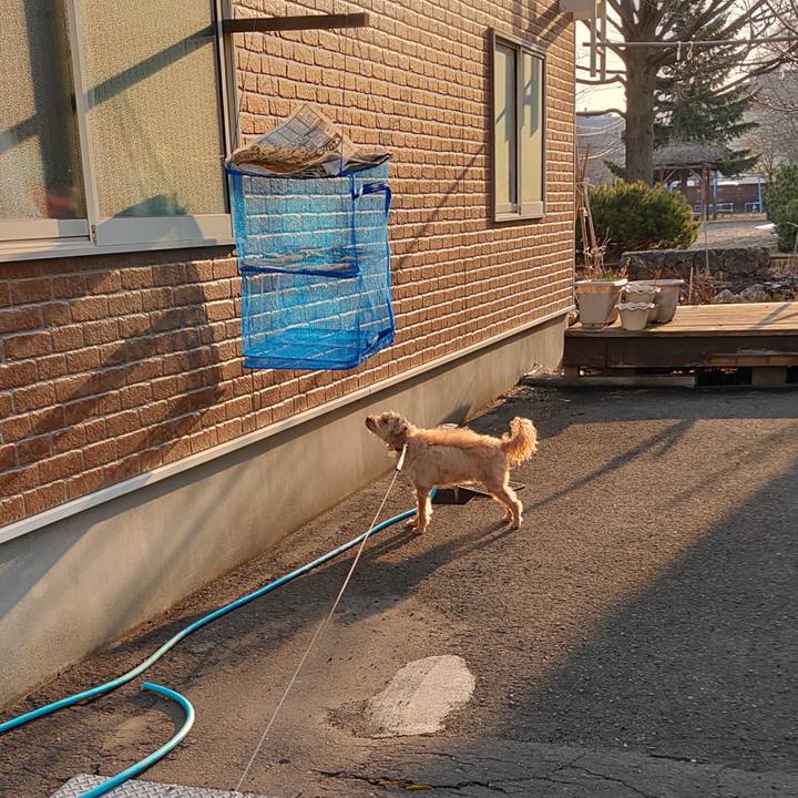 628459ca 1a85 4e00 9036 37277a45fee7 1586299669349