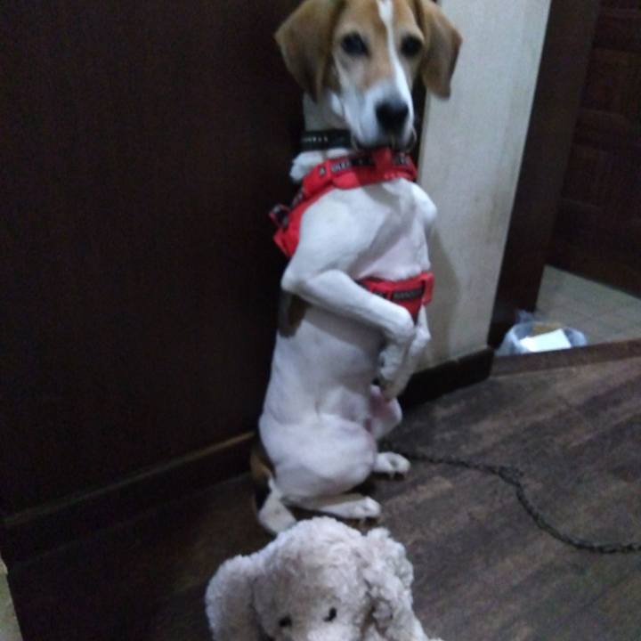 62848757 b233 40fa aefb 57364f46e84b 1701521840724