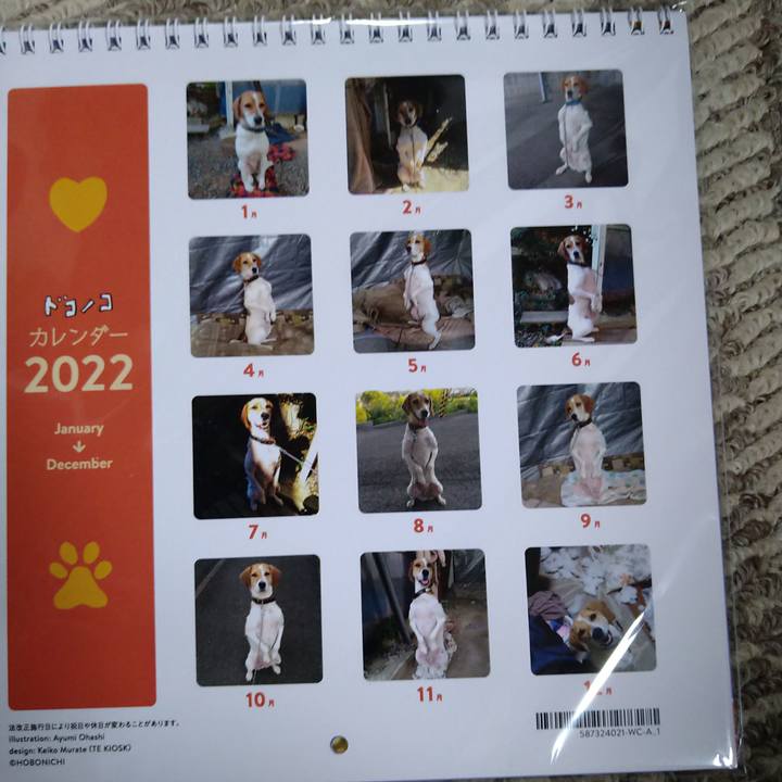 628494c1 e8db 44e8 9fc6 882e503c7471 1637927898642