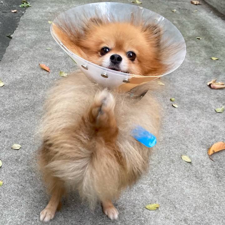 6284d192 ef71 46c1 8897 a93ada030a94 1603923431102