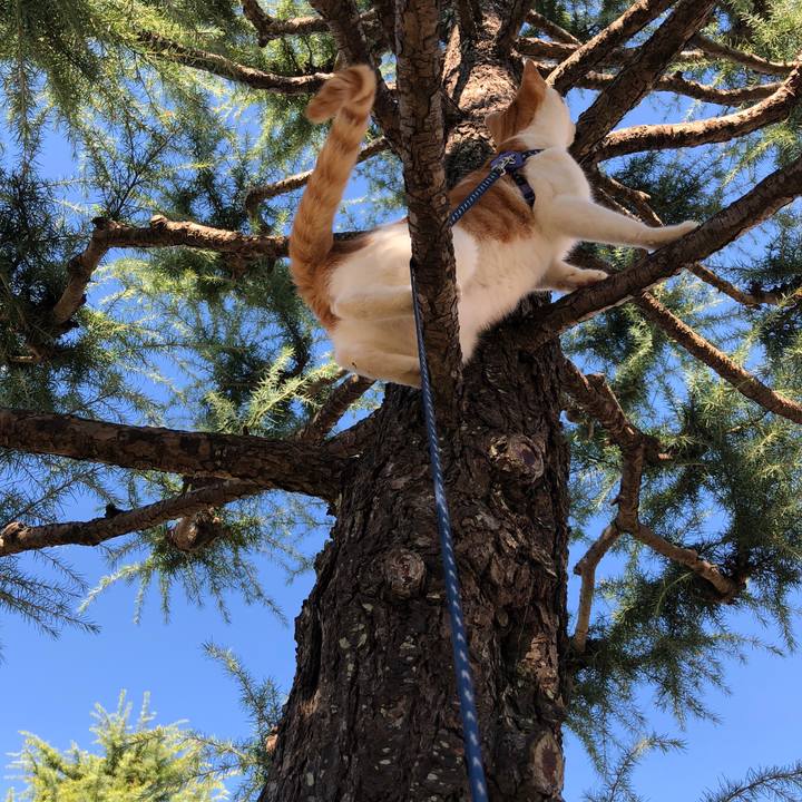 6284eec4 2f15 46ac bc0d e111d14fafd0 1539839214738