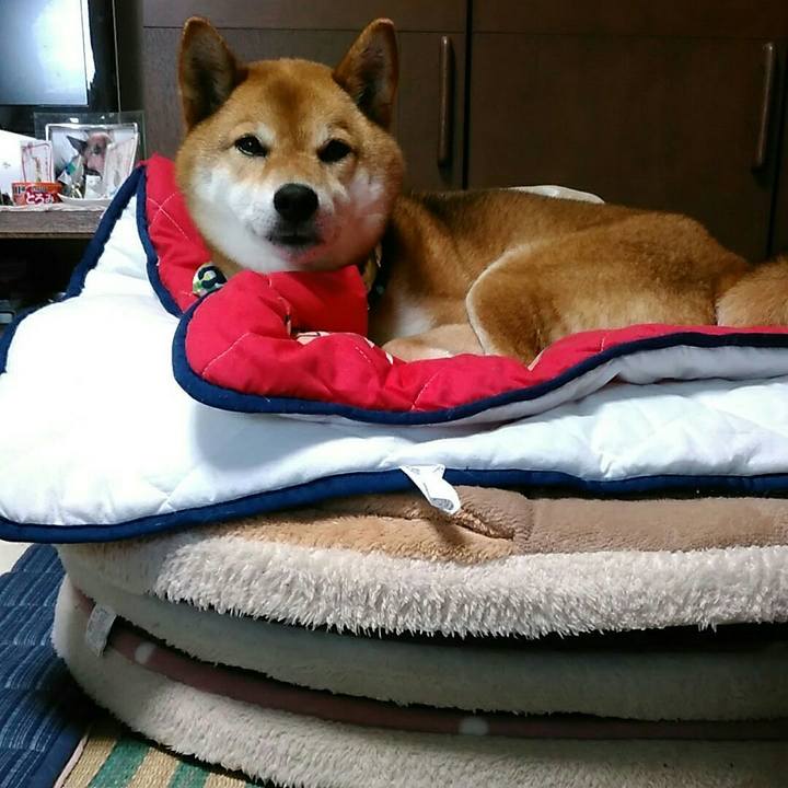 62852b40 f401 467e b03e 77f601d7bab1 1560822778422