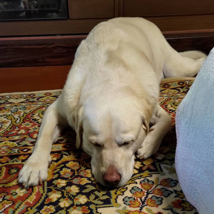 62854fae 1879 4e13 a66c 99437efeeb93 1693023994973