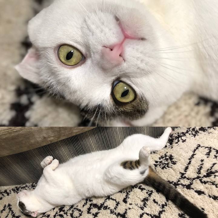 6285c0f9 67e9 4340 b667 0963eaa8cc40 1561582729164